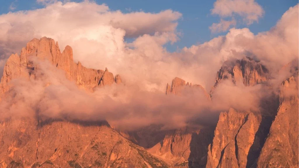 archive_Are_you_a_re_solutionary