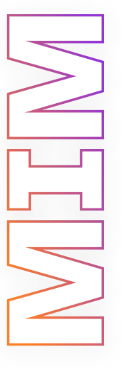 master in international mangement